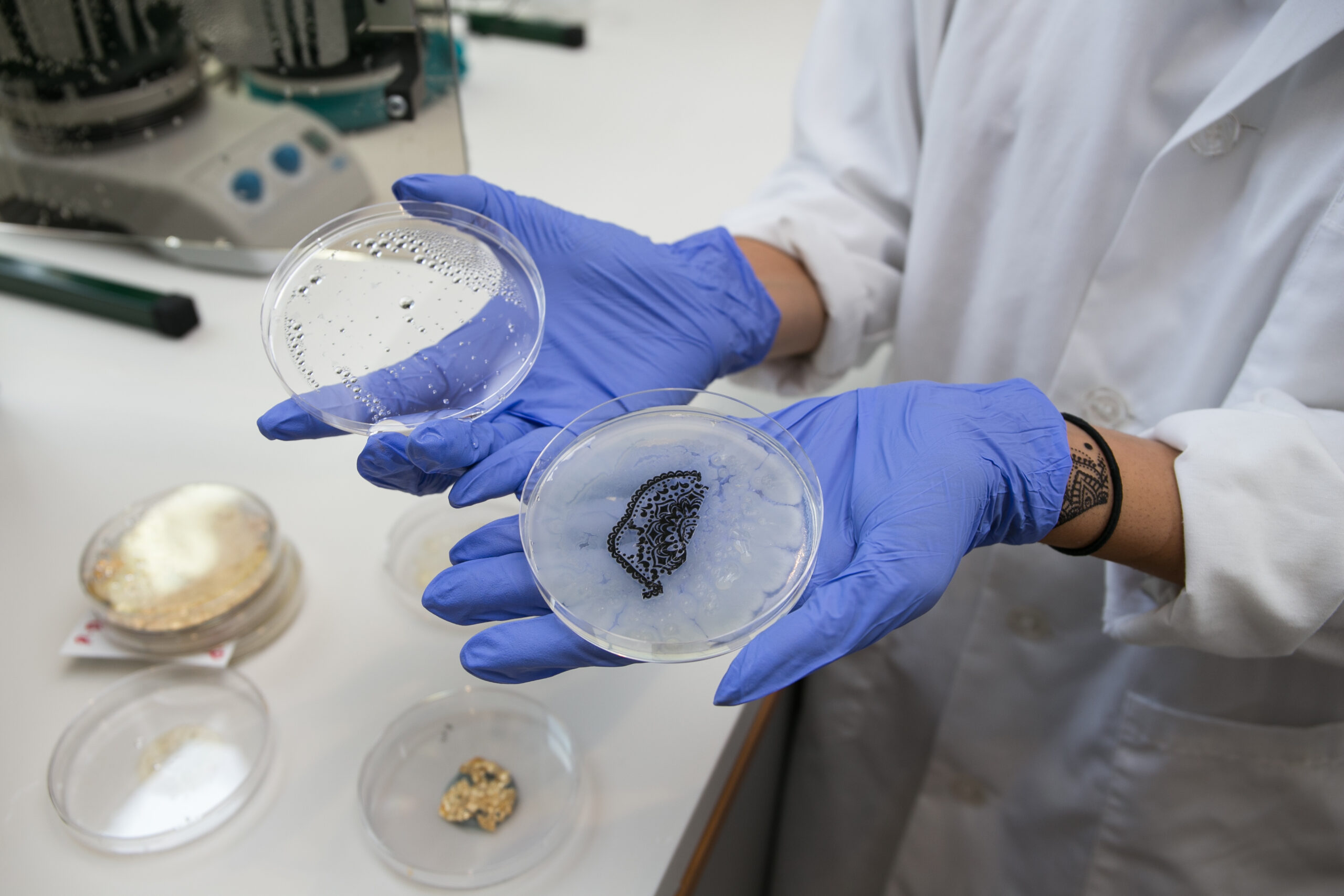 Are You a STEM Student at UWindsor? You Need to Take These Arts Electives