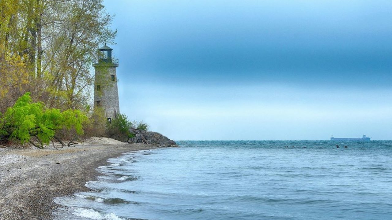 Environmental Sustainability: Why it’s Important and What You Can Do