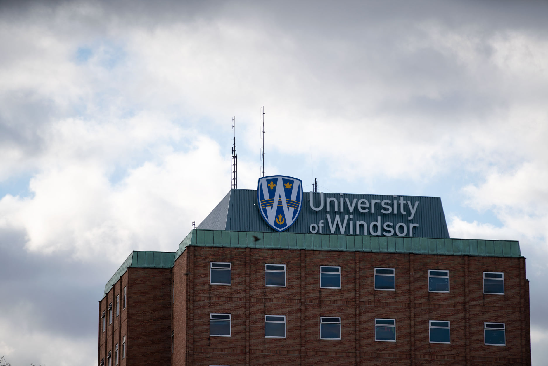 University of Windsor graduates embrace graduation as they begin to prepare for their life after university